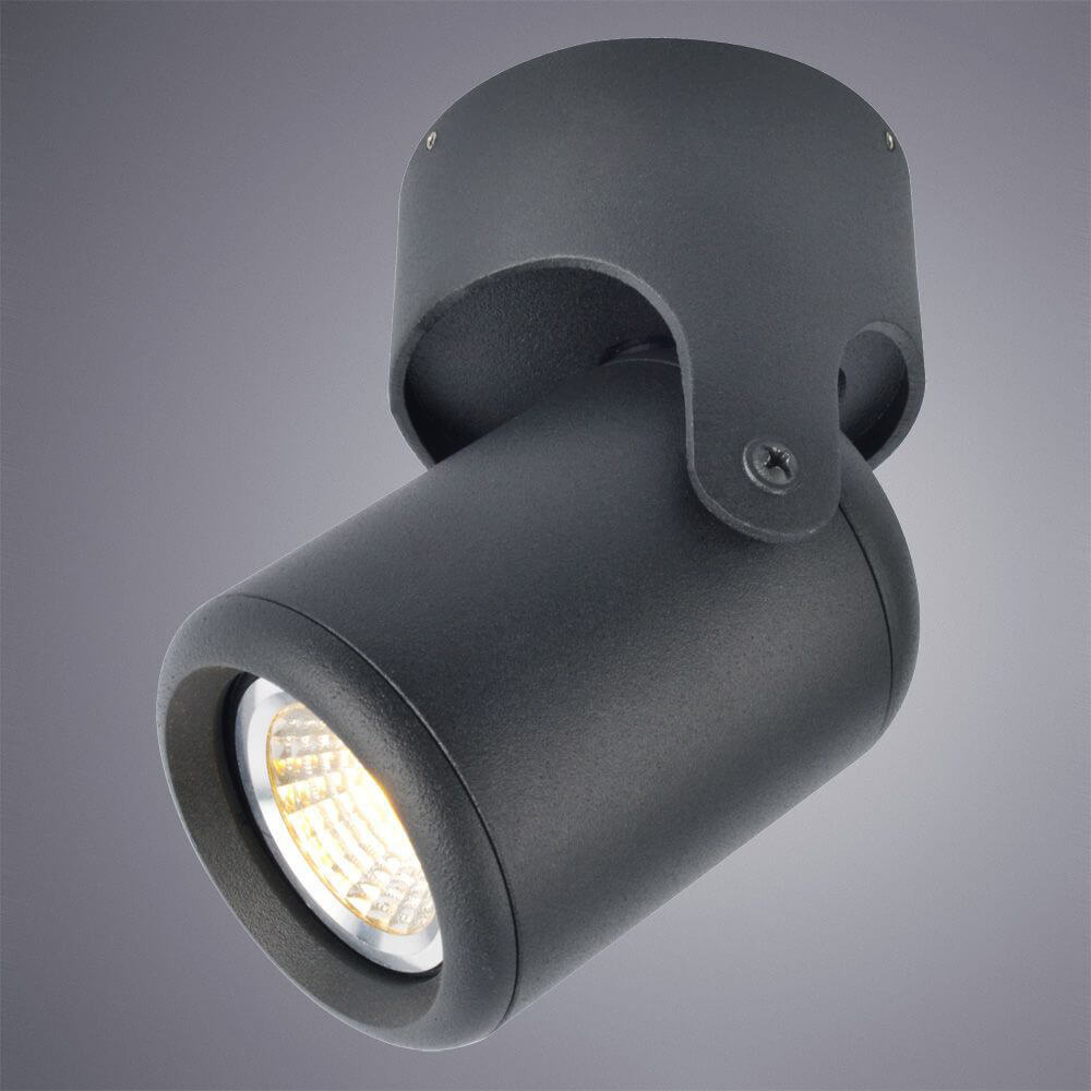 Светильник потолочный Arte Lamp Libra A3316PL-1BK