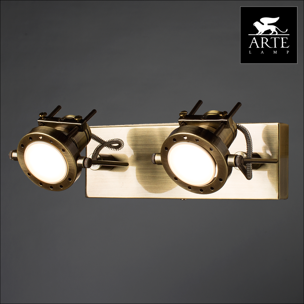 Светильник накладной Arte Lamp Costruttore A4300AP-2AB