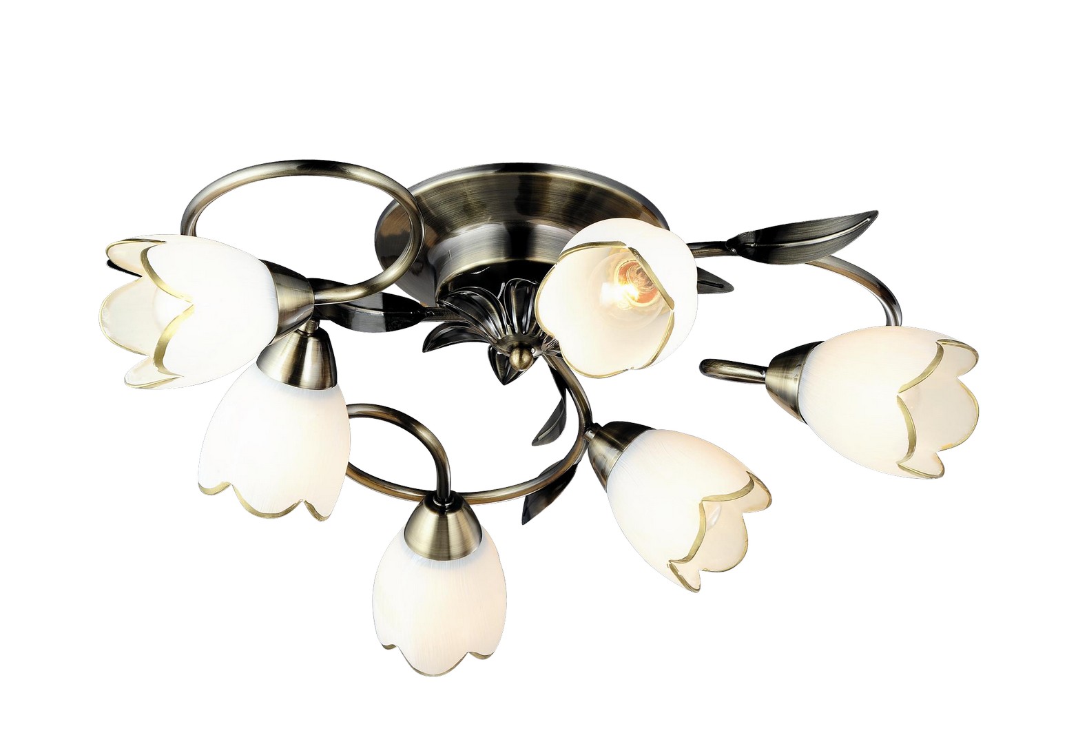 Светильник потолочный Arte Lamp Perce A6061PL-6AB