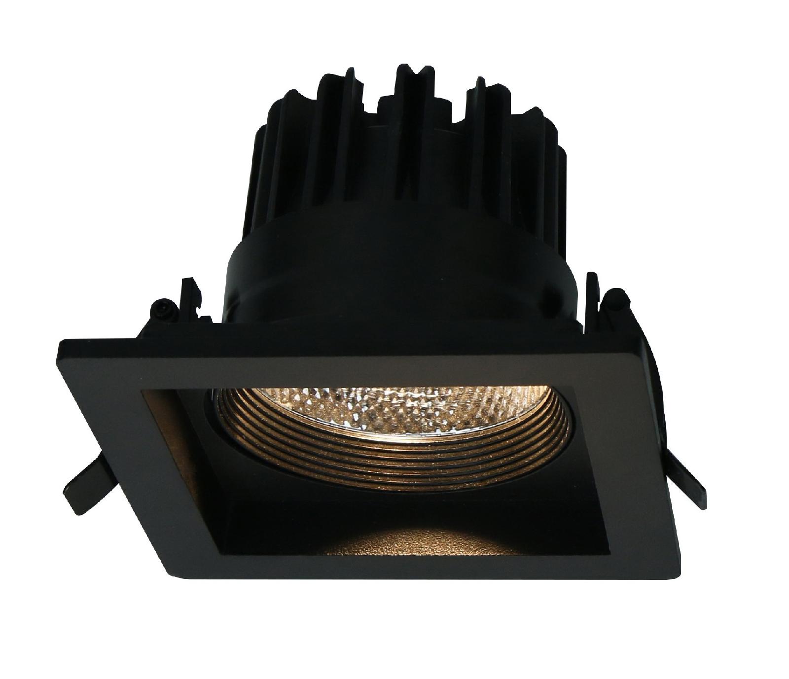 Светильник встраиваемый Arte Lamp Privato A7007PL-1BK