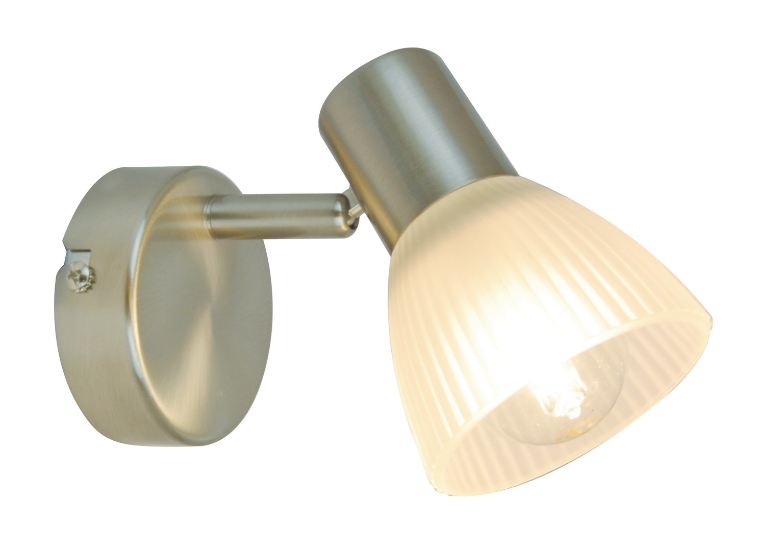 Светильник накладной Arte Lamp Parry A5062AP-1SS