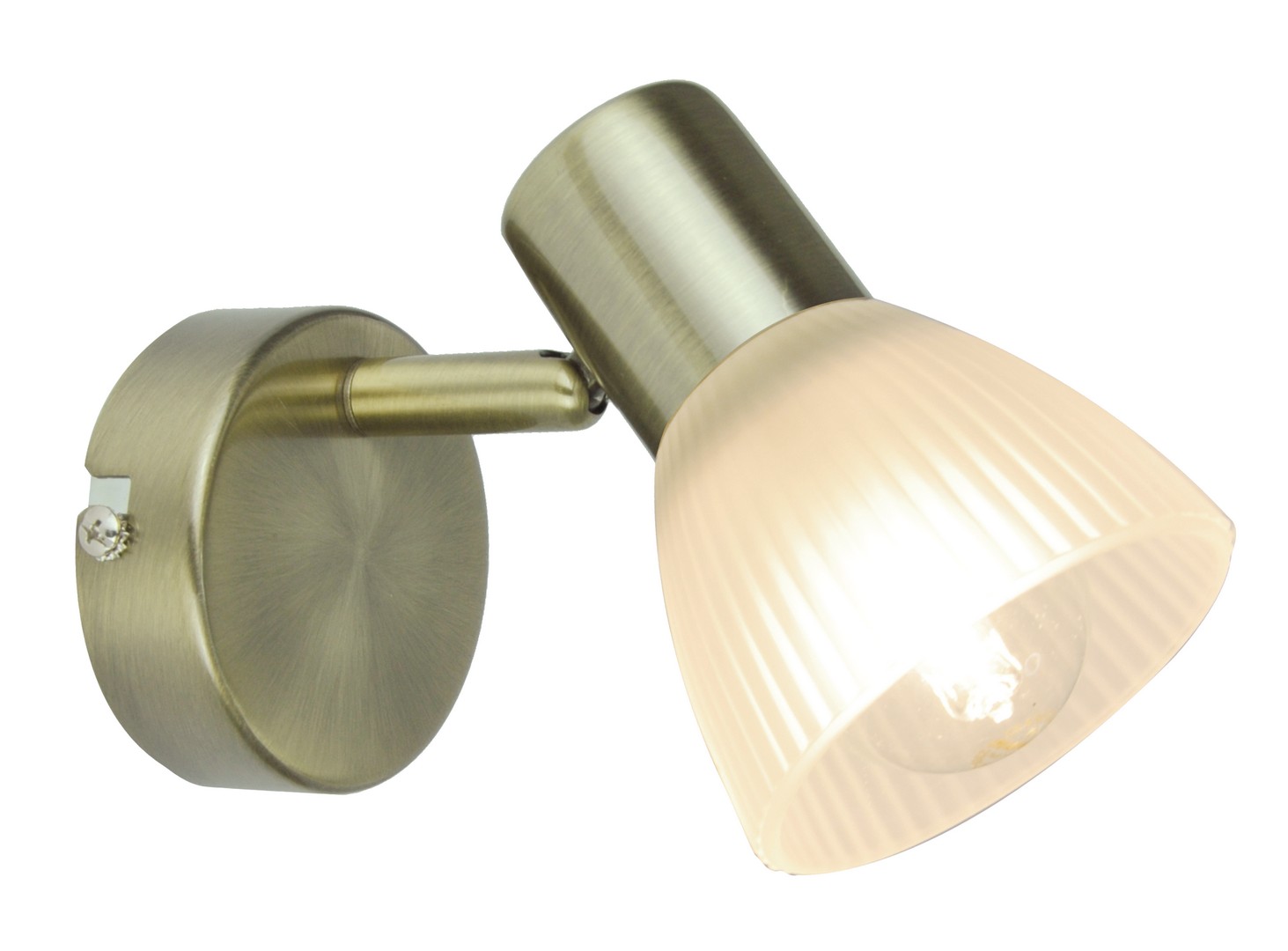 Светильник накладной Arte Lamp Parry A5062AP-1AB