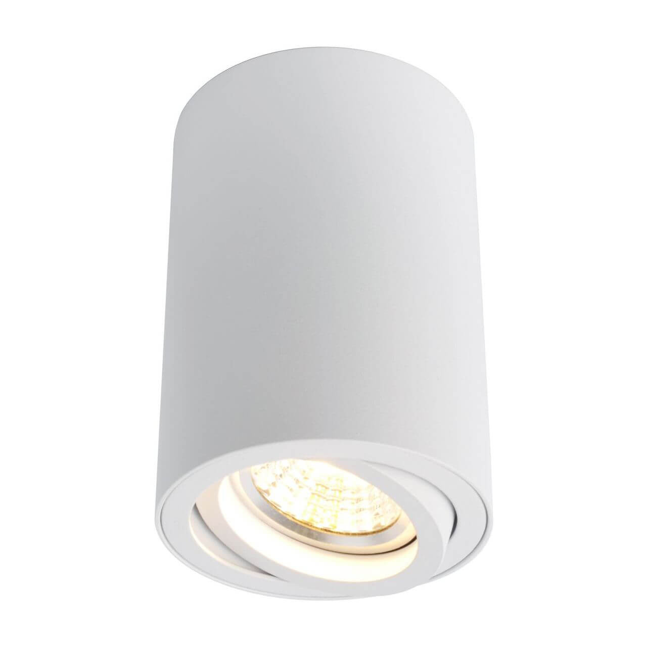 Светильник потолочный Arte Lamp Sentry A1560PL-1WH