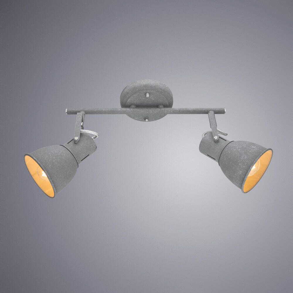 Светильник накладной Arte Lamp Jovi A1677PL-2GY