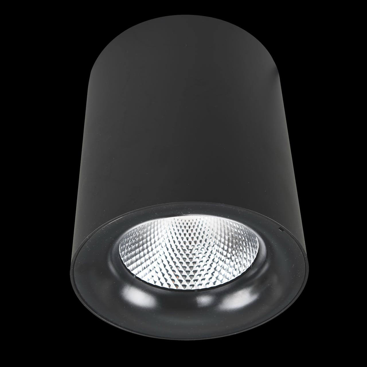 Светильник потолочный Arte Lamp Facile A5130PL-1BK