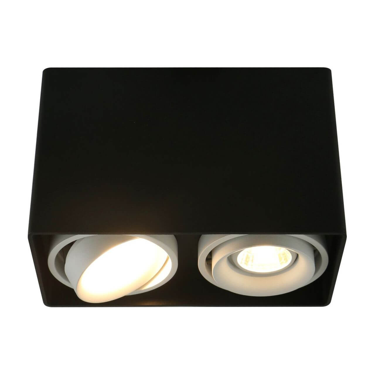 Светильник потолочный Arte Lamp Pictor A5655PL-2BK