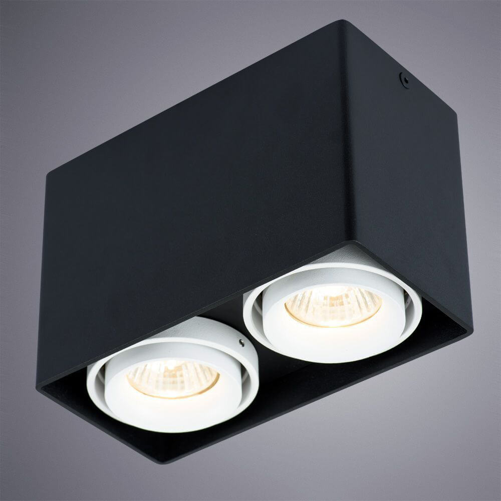 Светильник потолочный Arte Lamp Pictor A5655PL-2BK