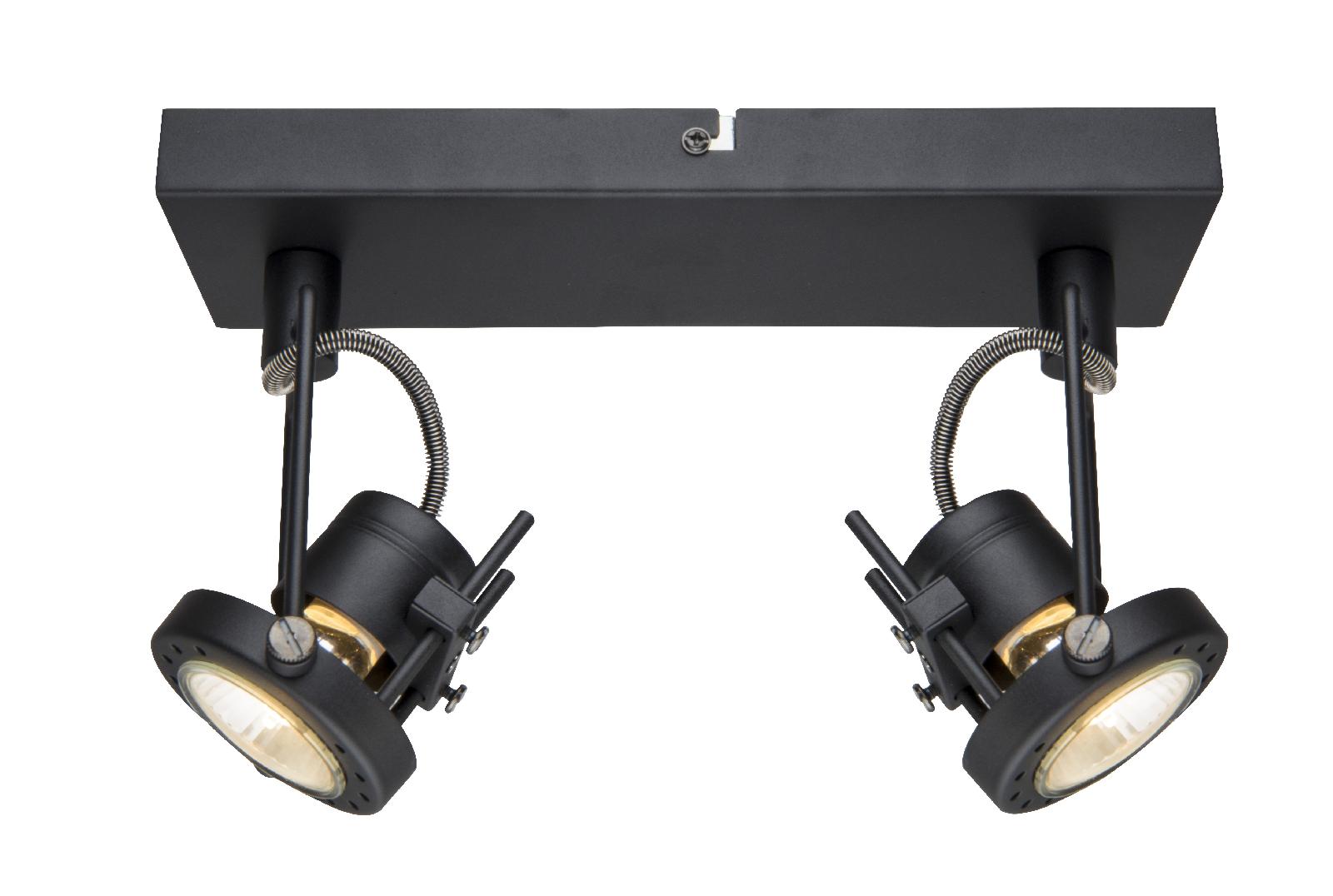Светильник накладной Arte Lamp Costruttore A4300AP-2BK