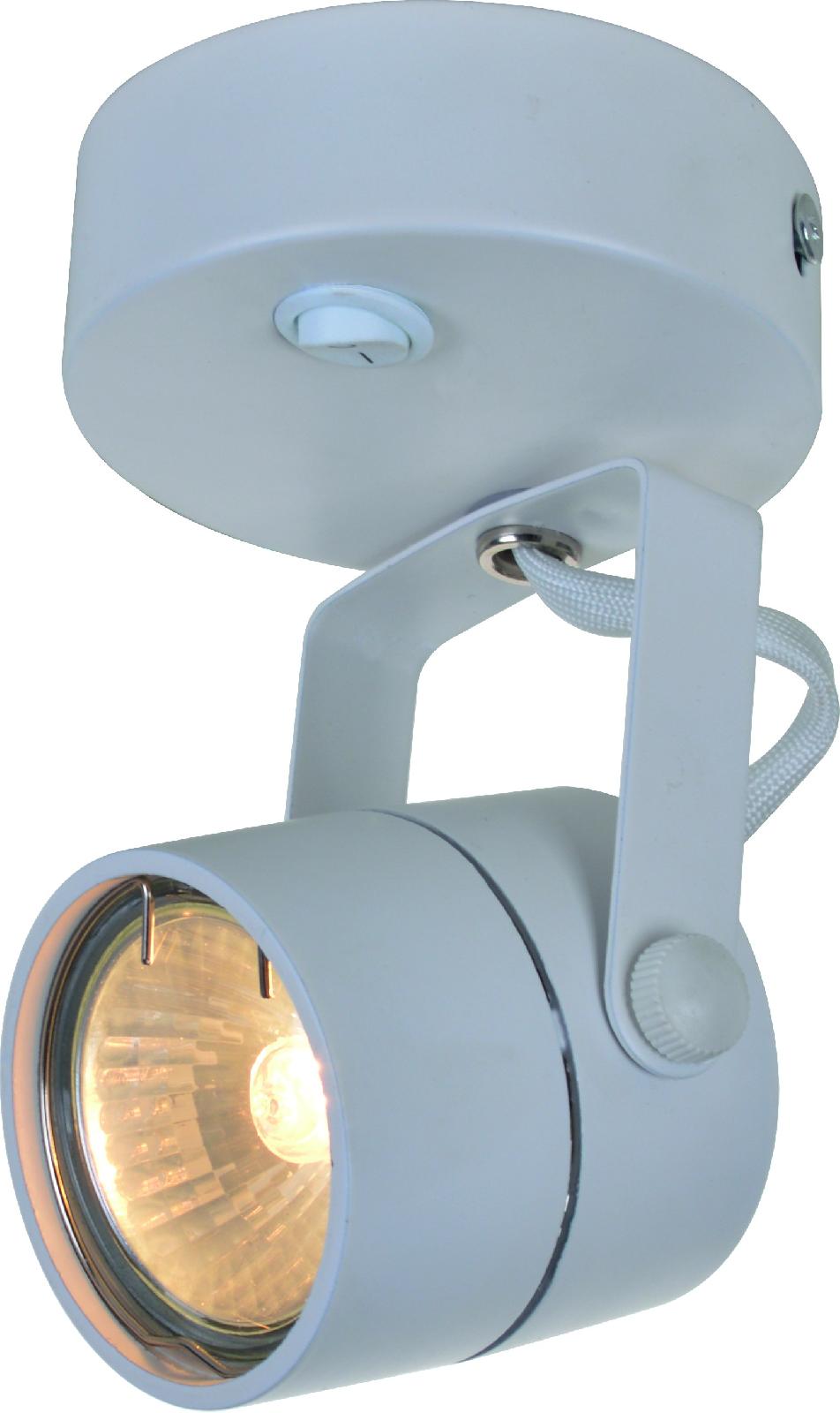 Светильник накладной Arte Lamp Lente A1310AP-1WH